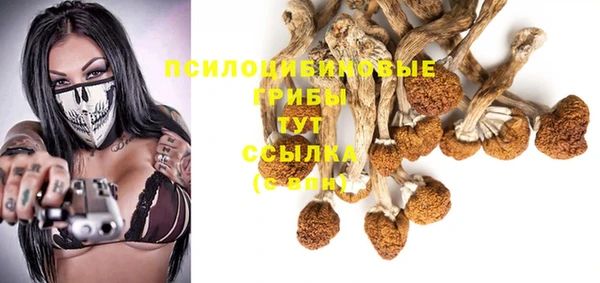 герыч Арсеньев