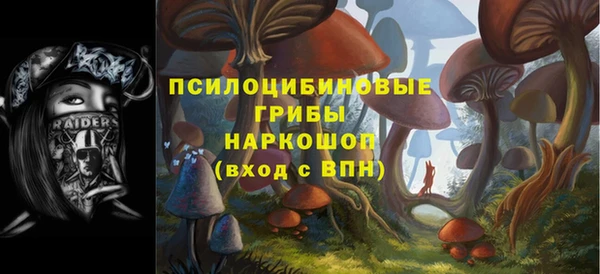 герыч Арсеньев
